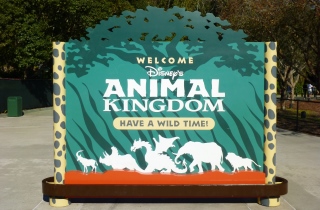 HelloAmerika | Animal Kingdom