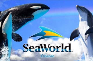HelloAmerika | SeaWorld Orlando